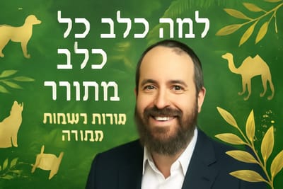 "למה כלב נקרא כלב? סודות השמות שהאדם הראשון קרא לבעלי החיים 2025"