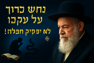 איך התפללו באמצע מלחמה? הסוד של "נחש כרוך על עקבו"