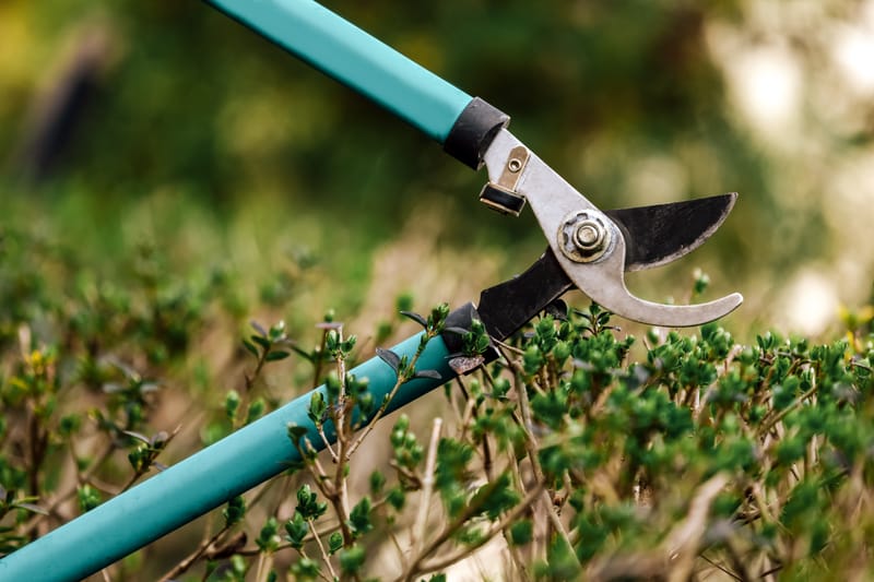 Entretien de jardins et d'espaces verts