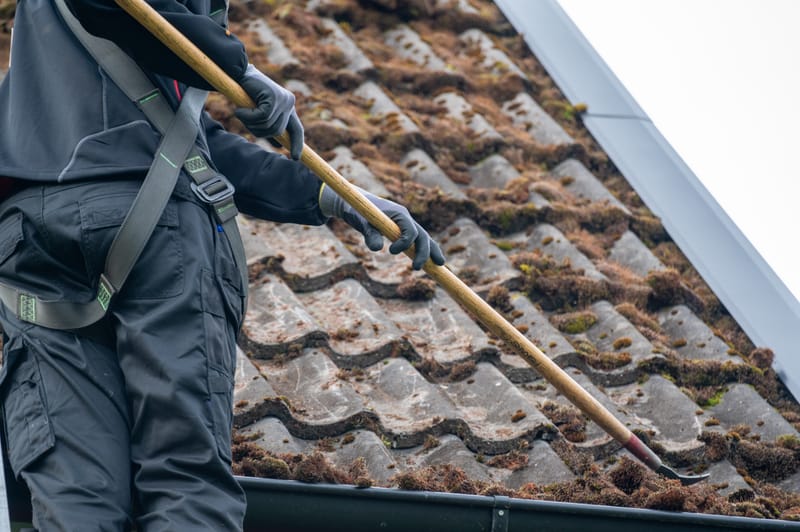 Élimination de la mousse sur les toits : Protégez et prolongez la vie de votre toiture