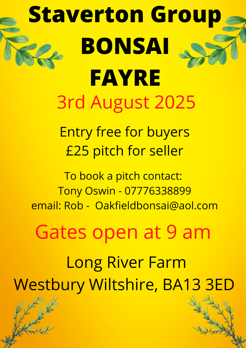 Staverton Bonsai Fayre