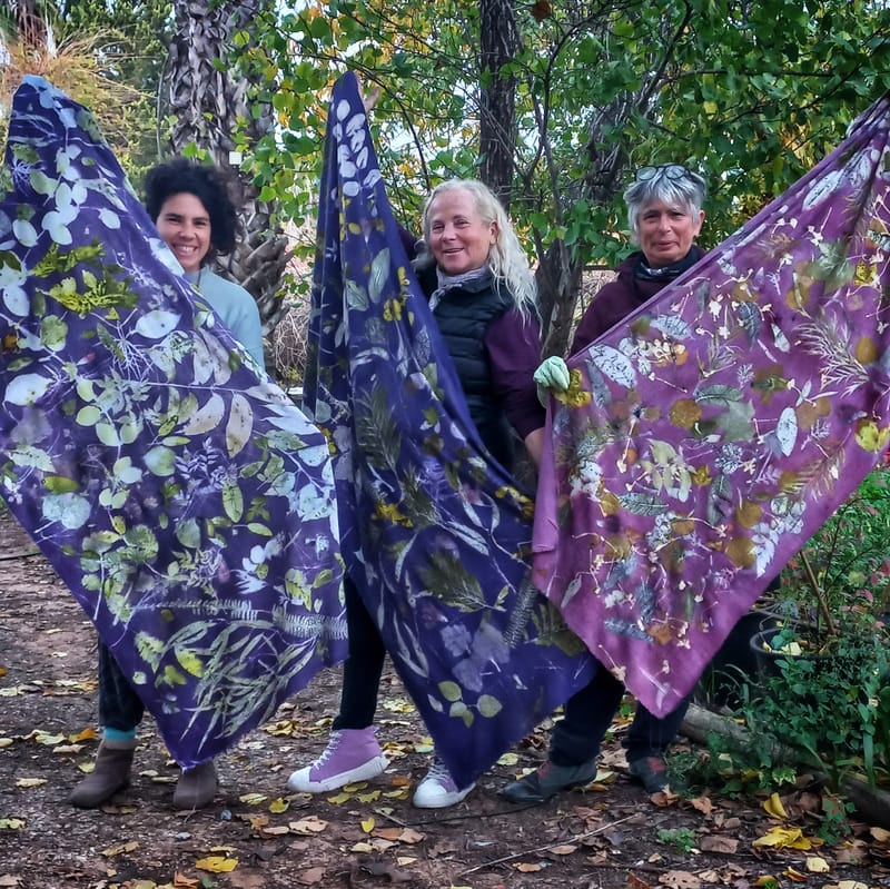 סדנאות יומיות לקהל הרחב