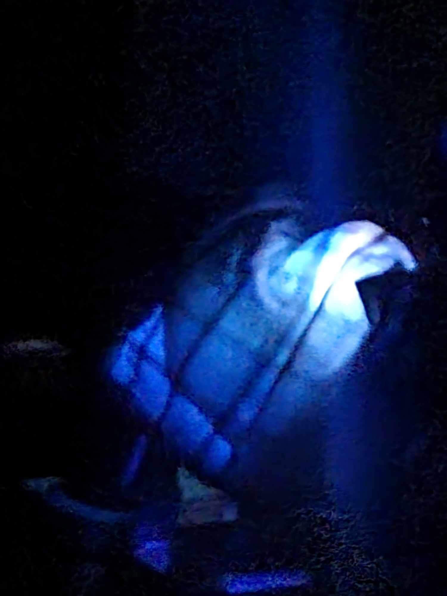 Mains Castle September 2024