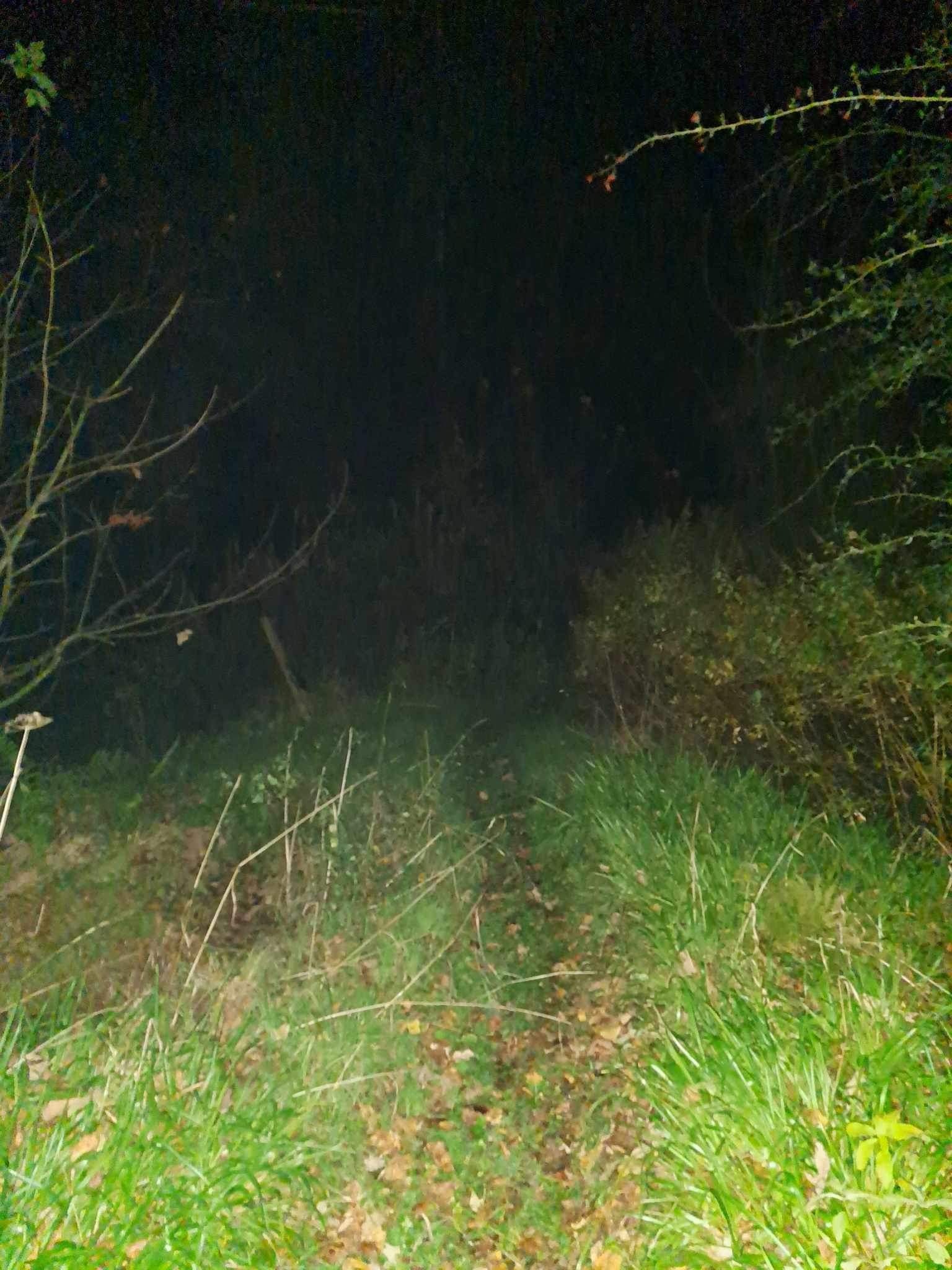 Halloween Special in Kilmarnock