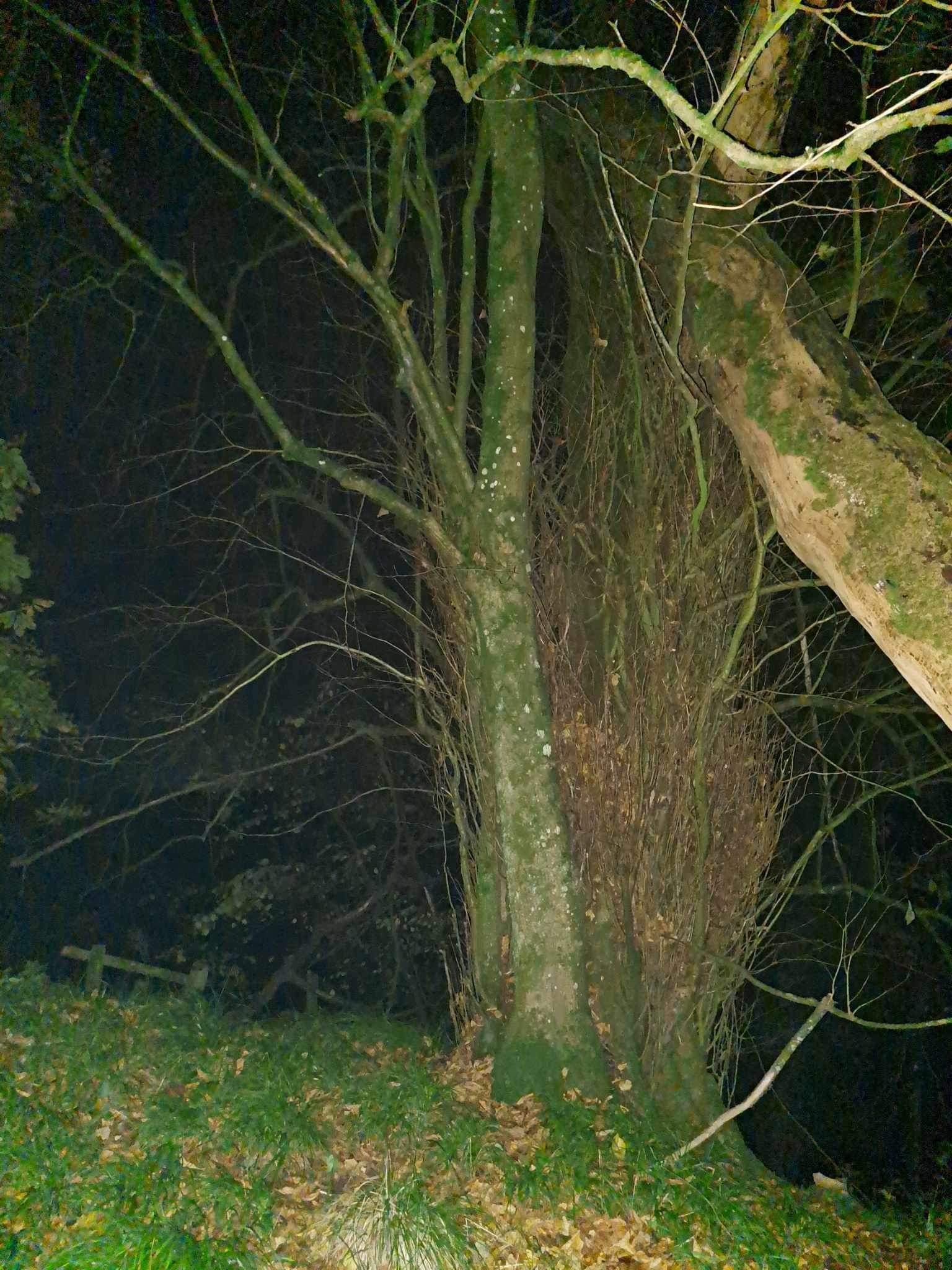 Halloween Special in Kilmarnock