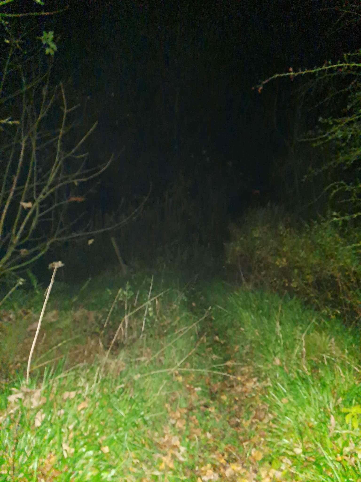 Halloween Special in Kilmarnock