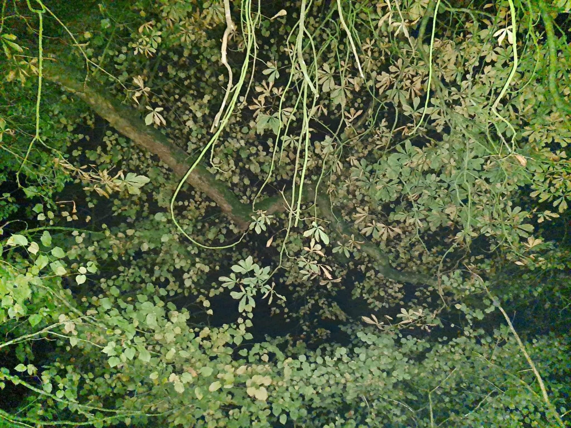 Halloween Special in Kilmarnock