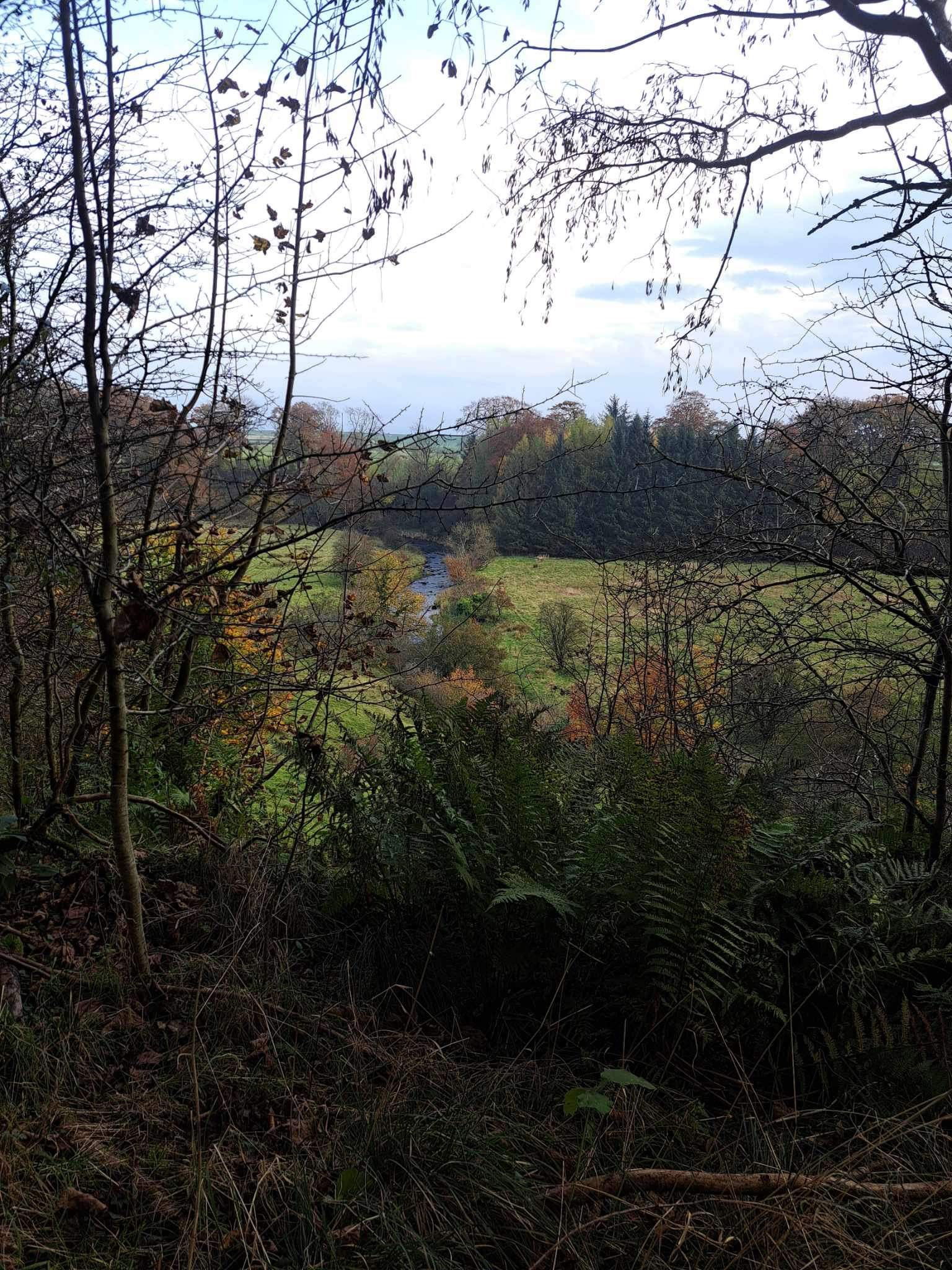 Halloween Special in Kilmarnock