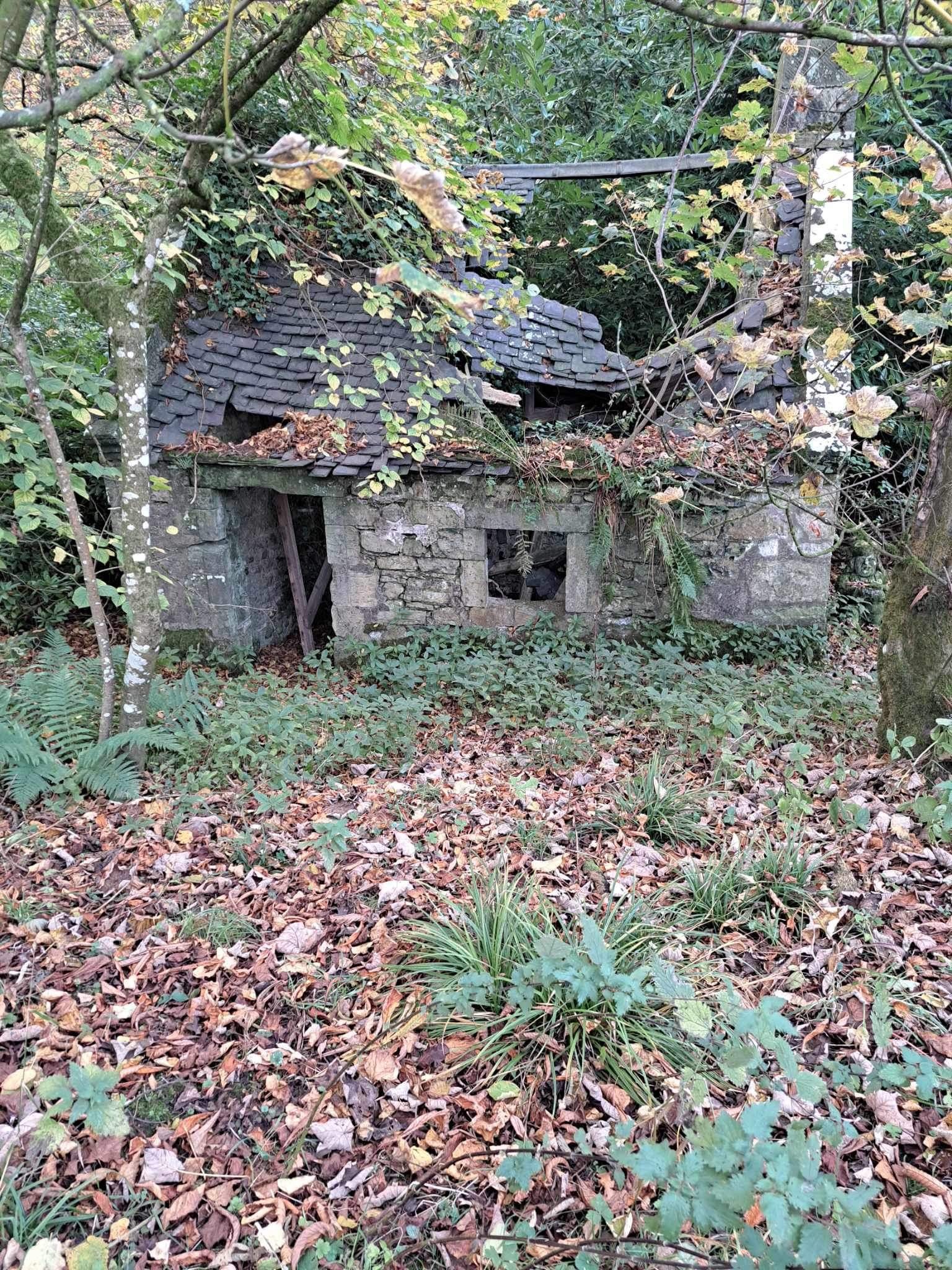 Halloween Special in Kilmarnock