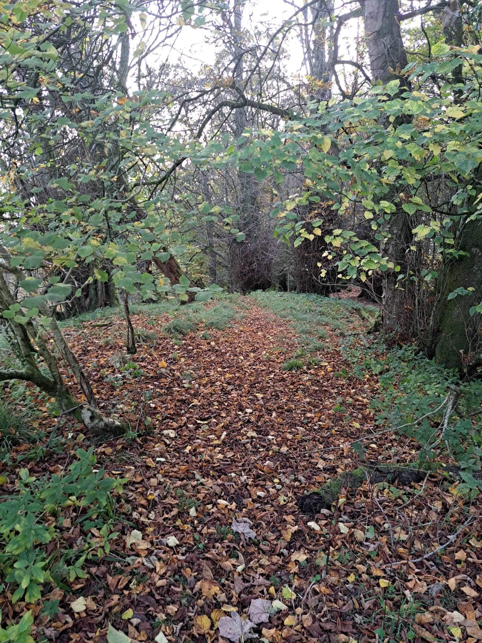 Halloween Special in Kilmarnock