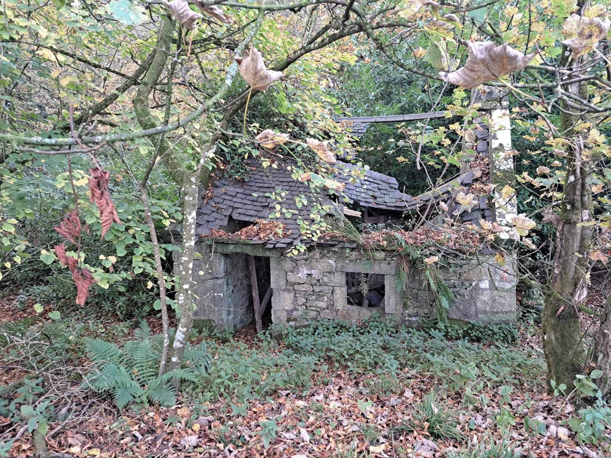 Halloween Special in Kilmarnock