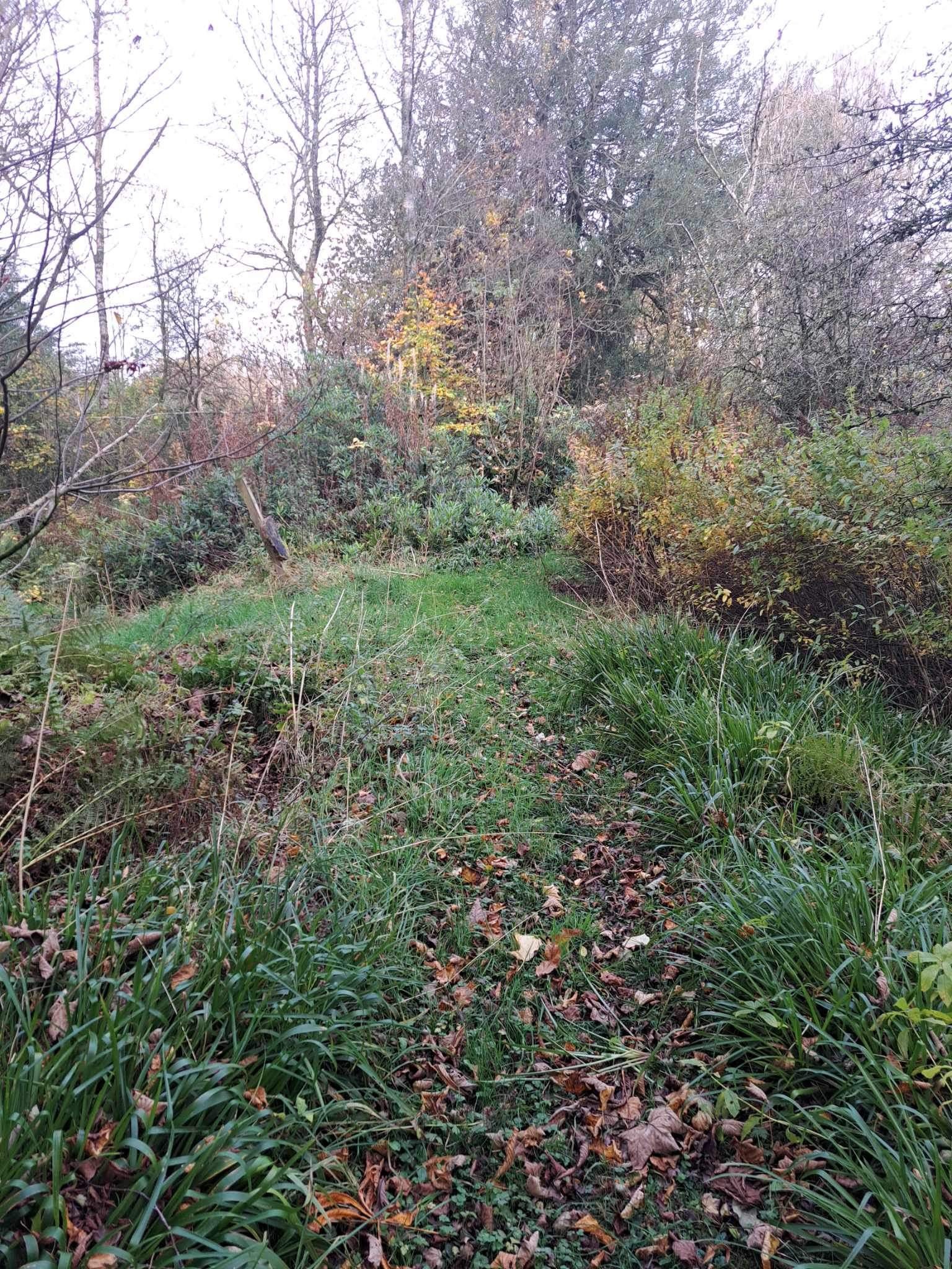 Halloween Special in Kilmarnock