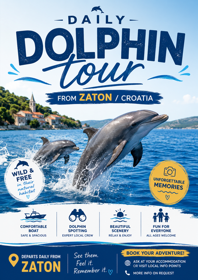 Dolphin tours