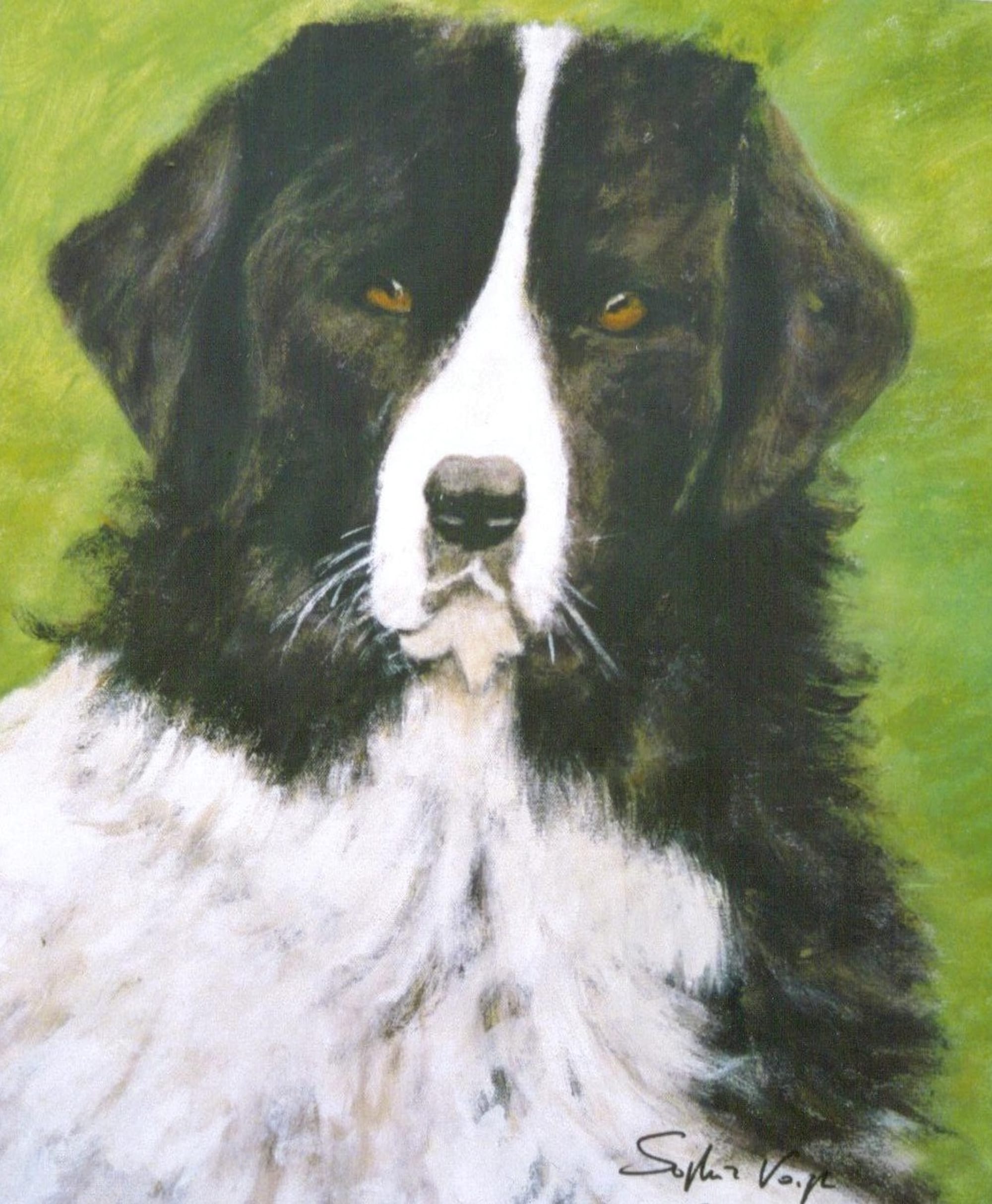 Baloob- 60x80 - 2015