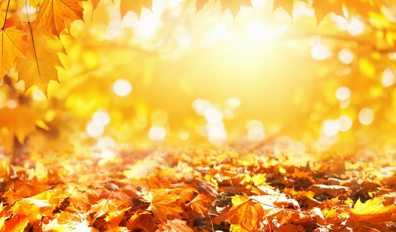 Nurturing Inner Balance - Honoring the Autumnal Equinox