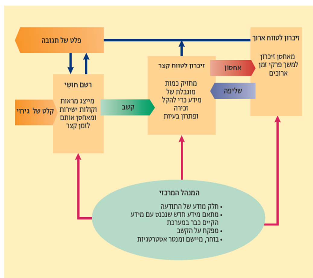 בעיה בטעינת תמונה :(