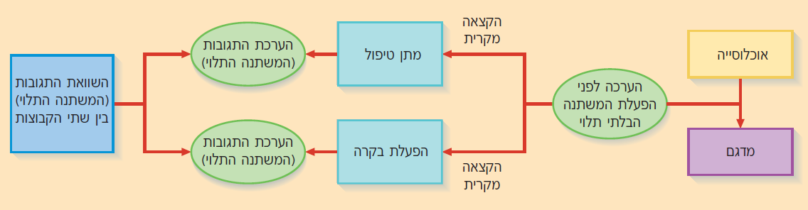 בעיה בטעינת תמונה :(