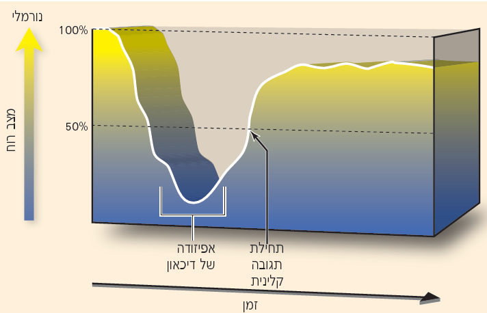 הגדרת תגובה חיובית