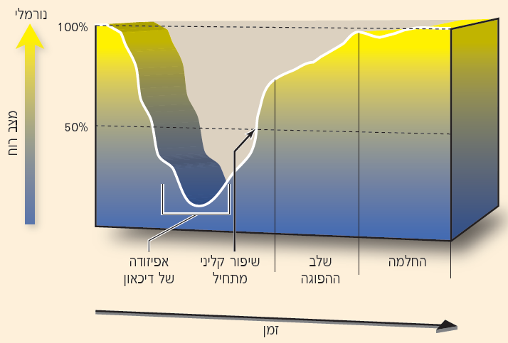 הגדרת החלמה