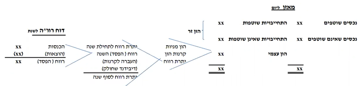 סכמת דוחות כספיים