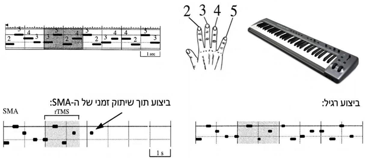 מחקר רצף תנועות בסטודנטים