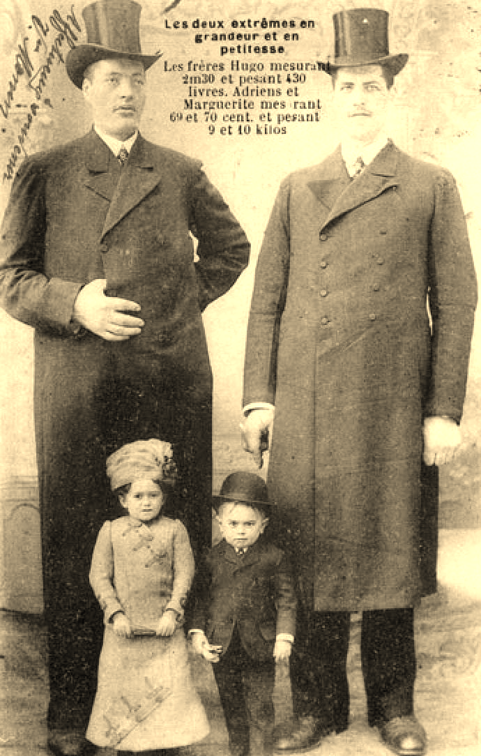 13 : Les groupes de phénomènes