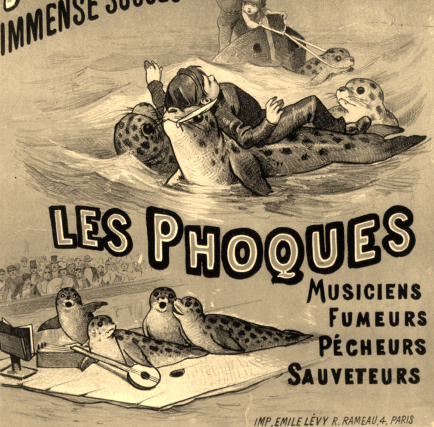 Les phoques et animaux marins