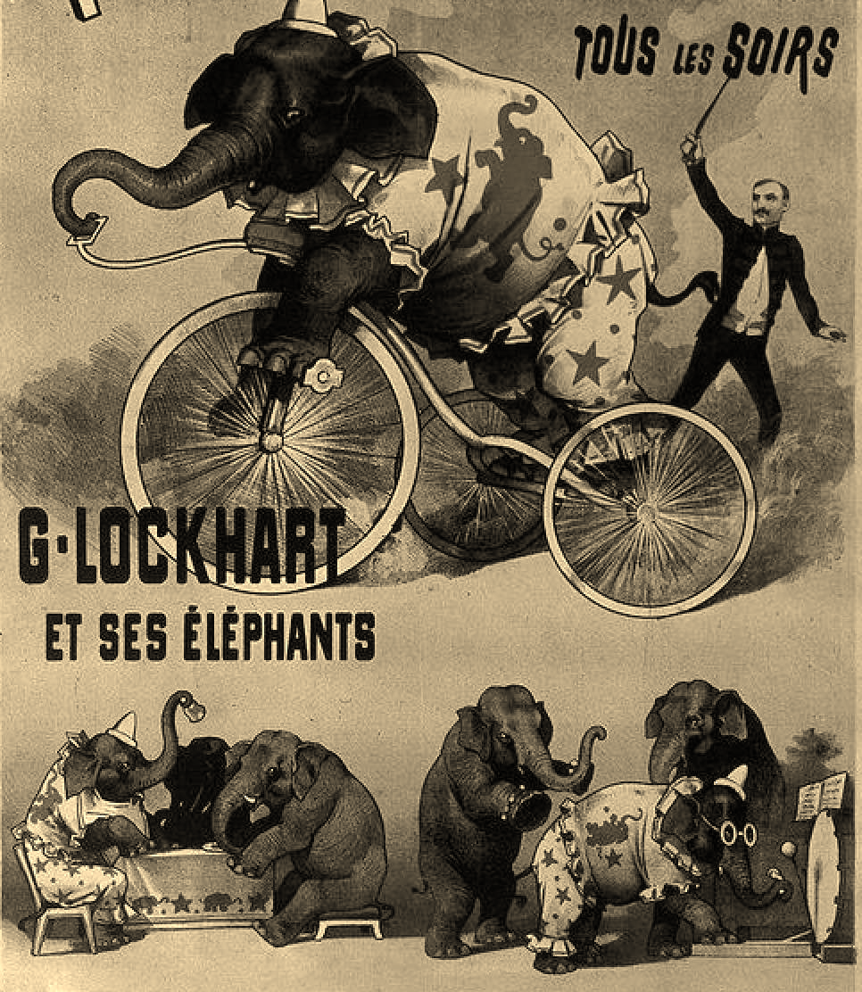 Les éléphants