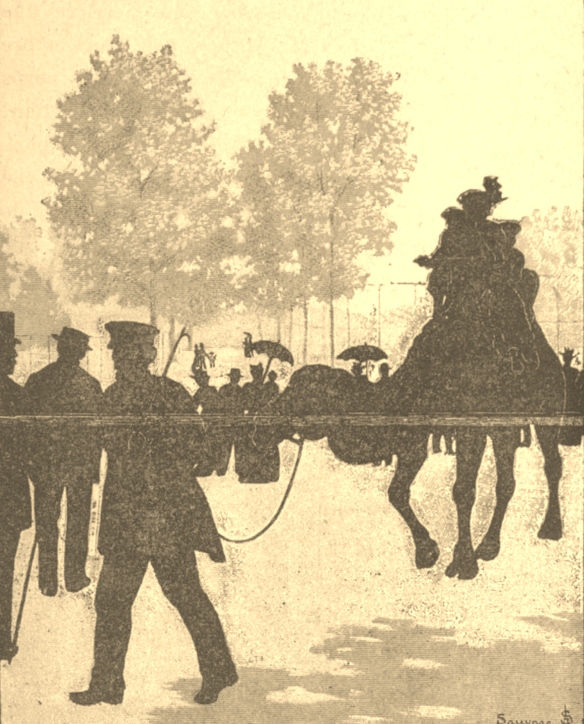 Ombres Chinoises. Théâtre d'ombres