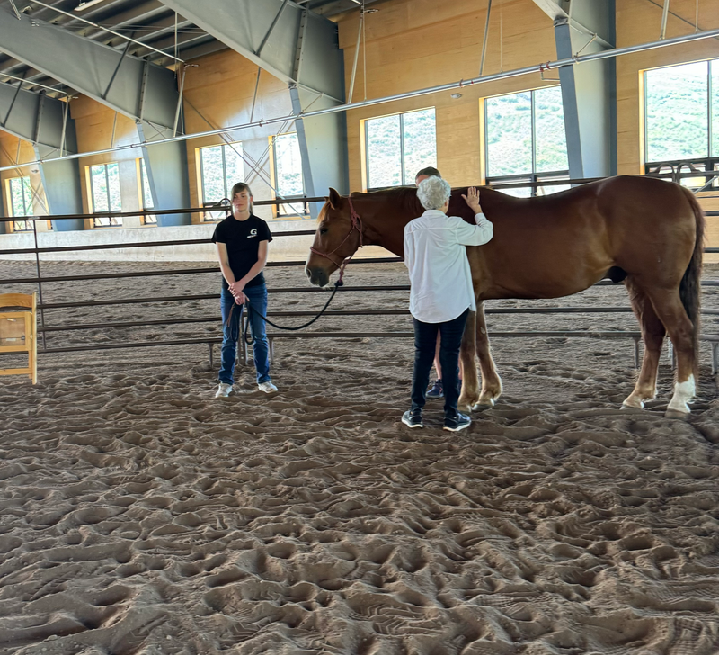 Horses and Wellness- UofU