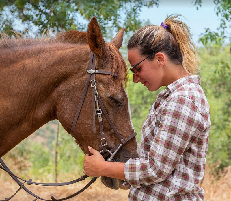 Hoof prints & Heartstrings: Connection between horses & humans