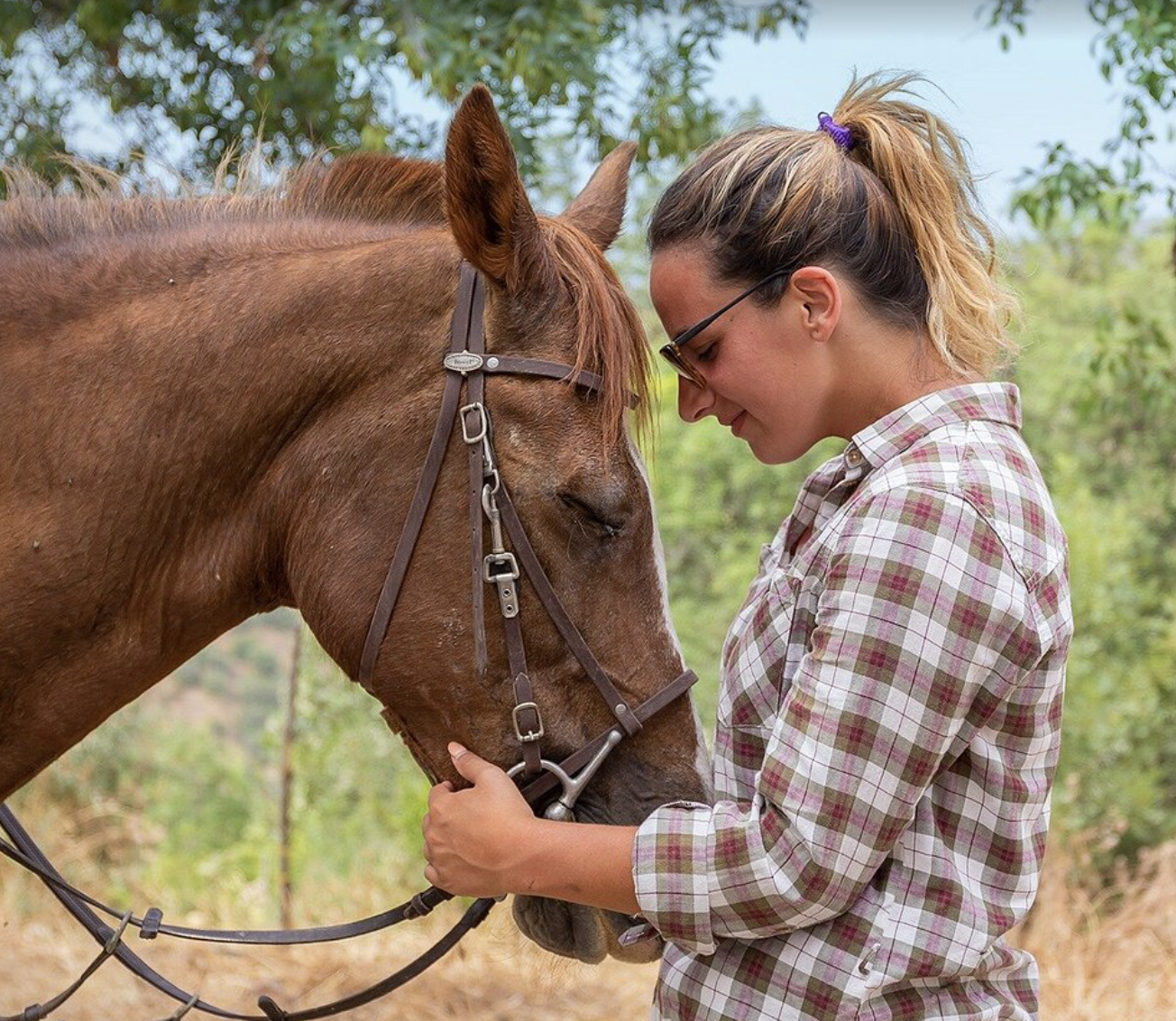 Hoof prints & Heartstrings: Connection between horses & humans