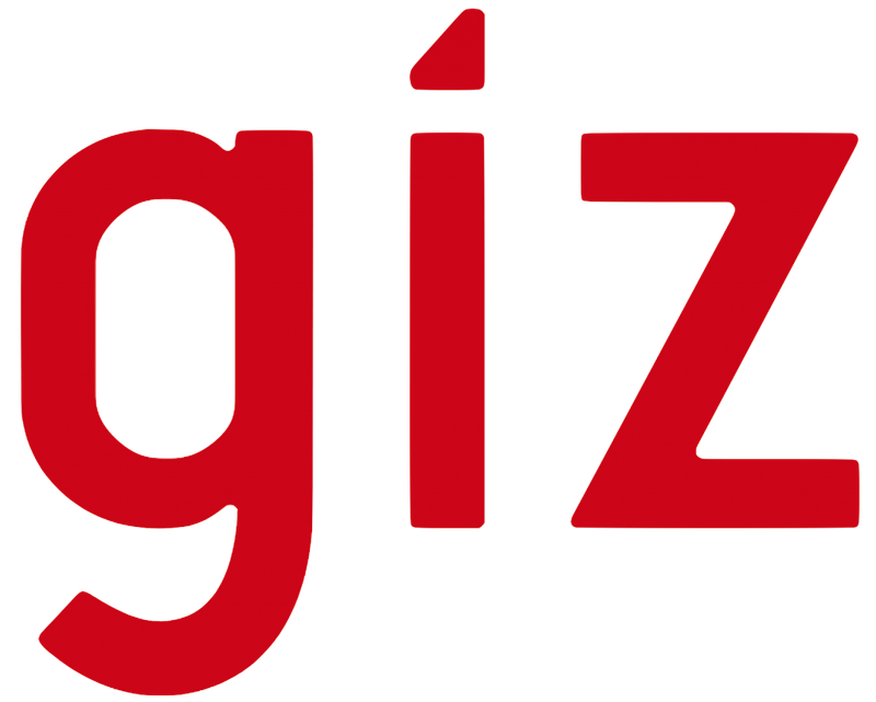 Un/e Analyste