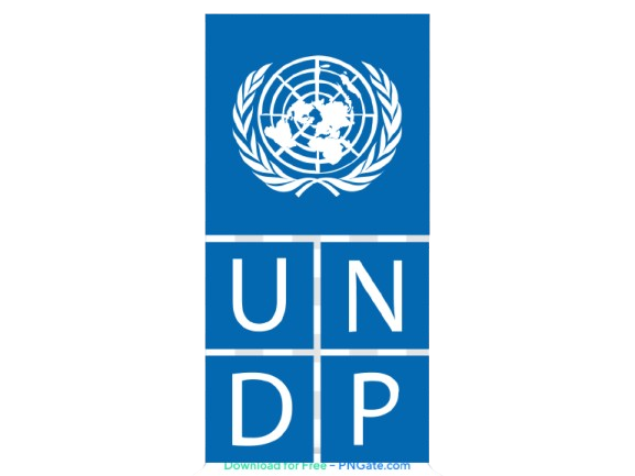 (01) CONSULTANT POUR FORMATION DE COMMERÇANTS AU PAIEMENT NUMÉRIQUE