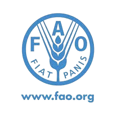 PROGRAMME DE VOLONTARIAT RÉGULIER DE LA FAO POUR L’AFRIQUE (RAF)