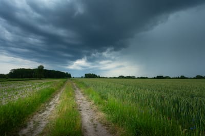 which road are you on? image