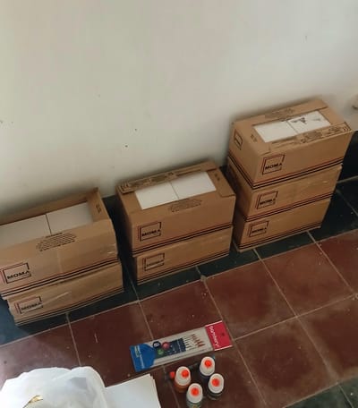 Continuation Seru Papaya Stairs