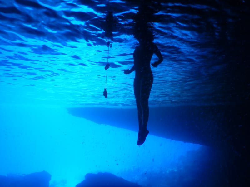 uncommissioned: The Reef of Future Ancestors