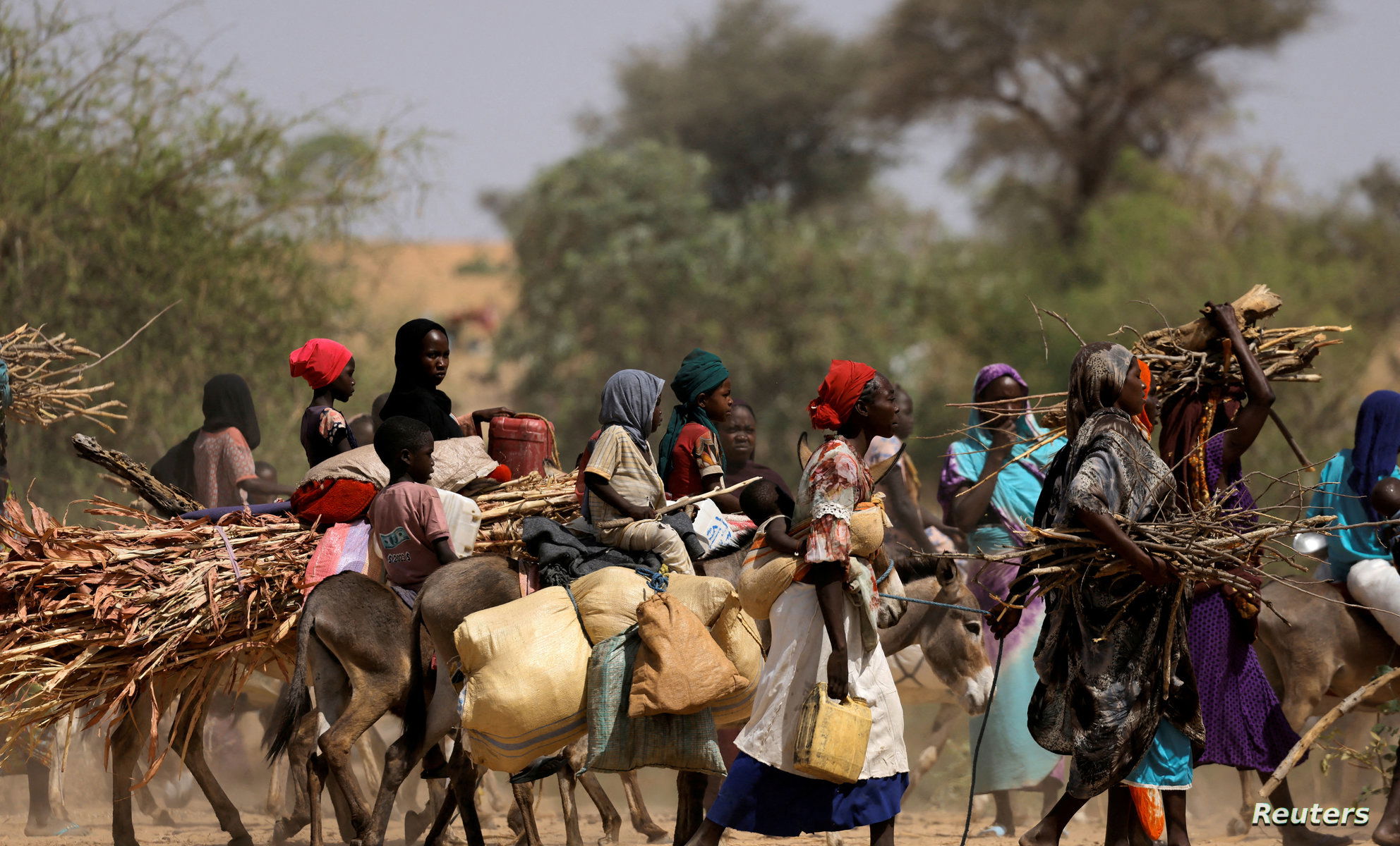 IOM: 3,260 families displaced from Bara locality in North Kordofan