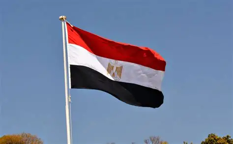 مصر تدعو لحماية المدنيين بعد هجوم الفاشر