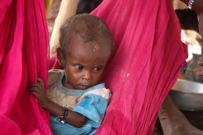 يونيسف: الأطفال يدفعون الثمن الأعلى جراء تصاعد الصراع في السودان