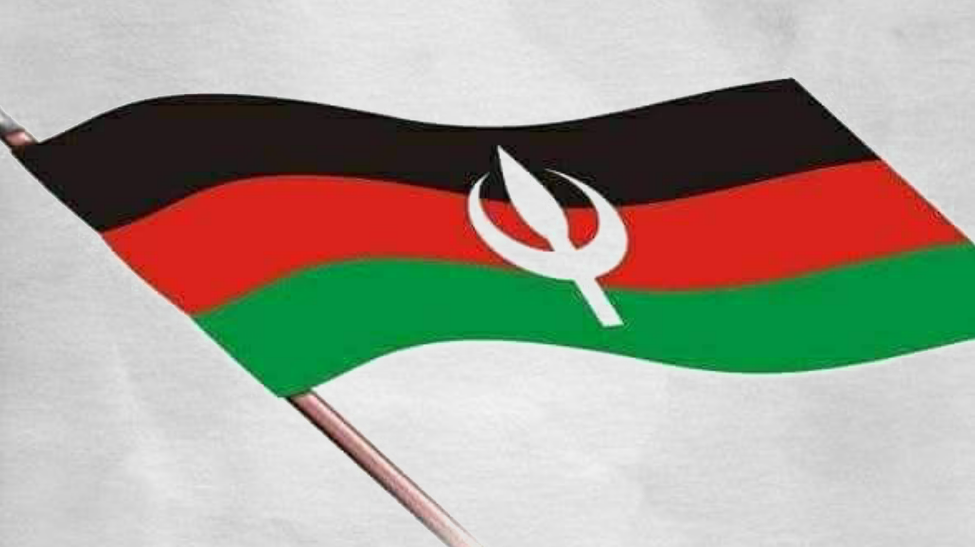 الأمة القومي يدين "الانتهاكات المروعة" في الفاشر ويدعو إلى تحقيق عاجل