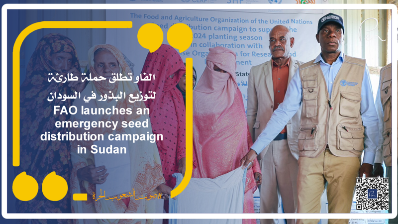 FAO launches an emergency seed distribution campaign in Sudan