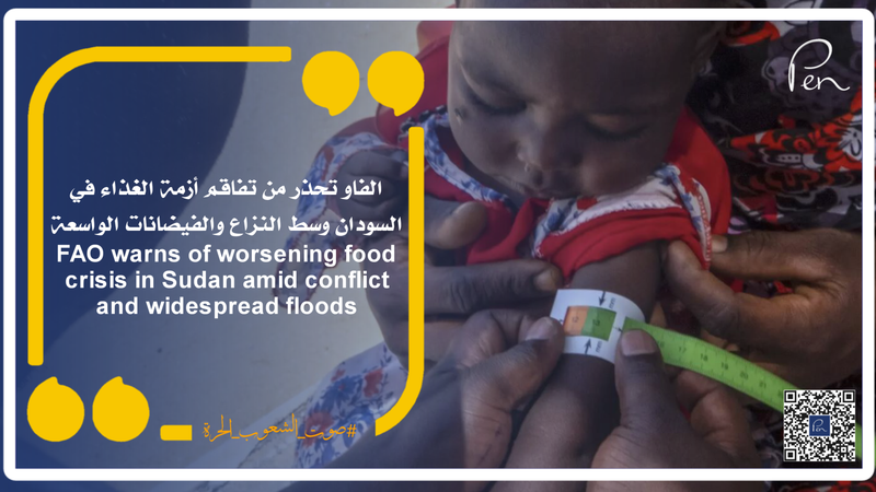 FAO warns of worsening food crisis in Sudan amid conflict and widespread floods
