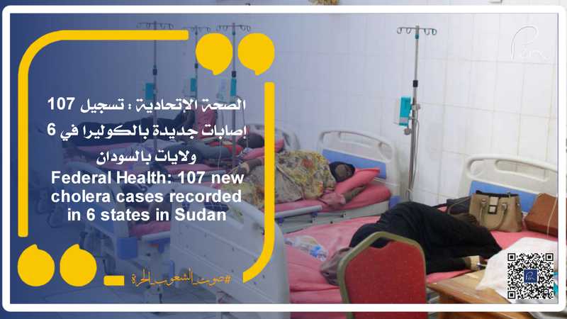 Federal Health: 107 new cholera cases recorded in 6 states in Sudan