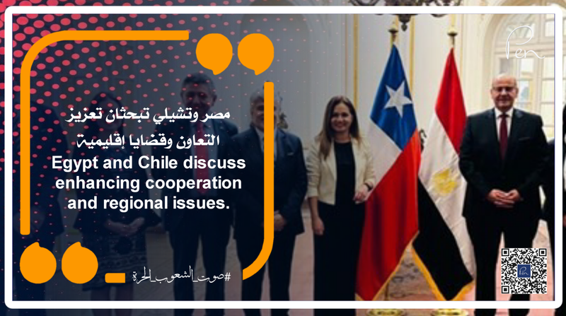 مصر وتشيلي تبحثان تعزيز التعاون وقضايا إقليمية