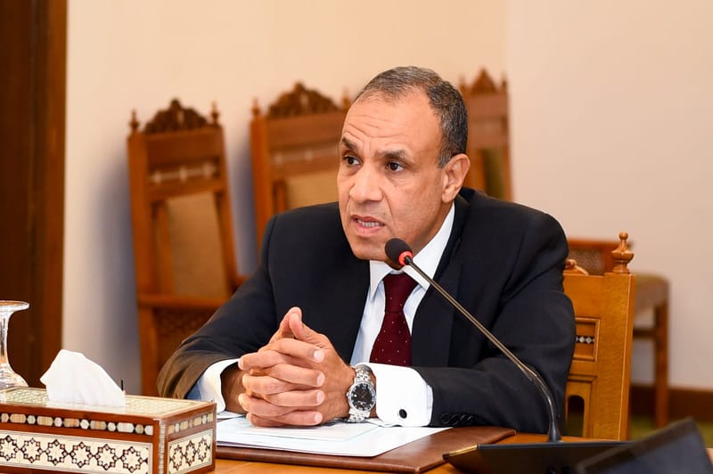 وزير الخارجية المصري: لا حل عسكرياً في السودان ومصر ترفض تقسيمه