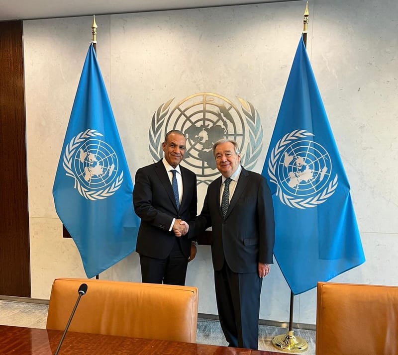 عبد العاطي وغوتيريش يبحثان الأزمة السودانية