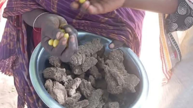 الشرق الأوسط تكشف.. الجوع يدفع سكان الفاشر لأكل "أعلاف الحيوانات"