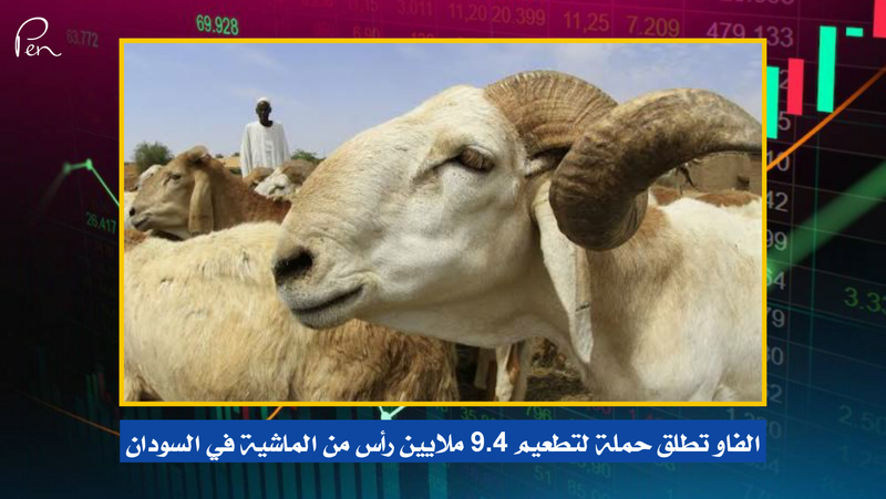 الفاو تطلق حملة لتطعيم 9.4 ملايين رأس من الماشية في السودان